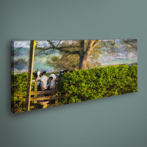 PANORAMIC - NO RIGHT OF WAY - 1.2m x 50cm